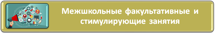Межшкольные факультативы и стимулирующие